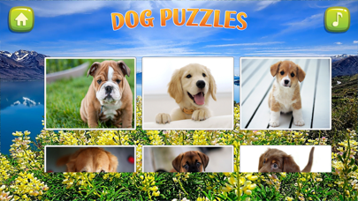 jigsaw puzzles dog - histoires pour les enfantsCapture d'écran de 2