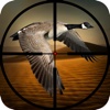 Wild Bird Hunting: Silent Sniper Shooting