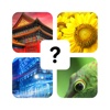 Reveal the Pics - Fun Top Word Guess Quiz Games