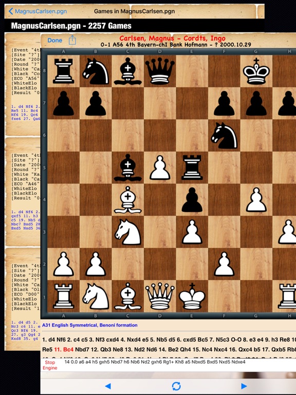 Chessplace для iPad