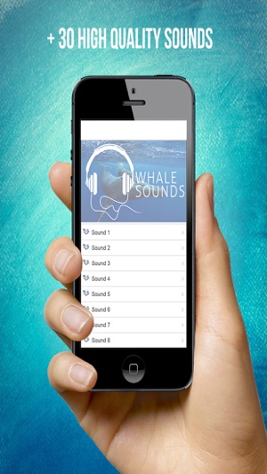 Whale Sounds For Relax(圖3)-速報App