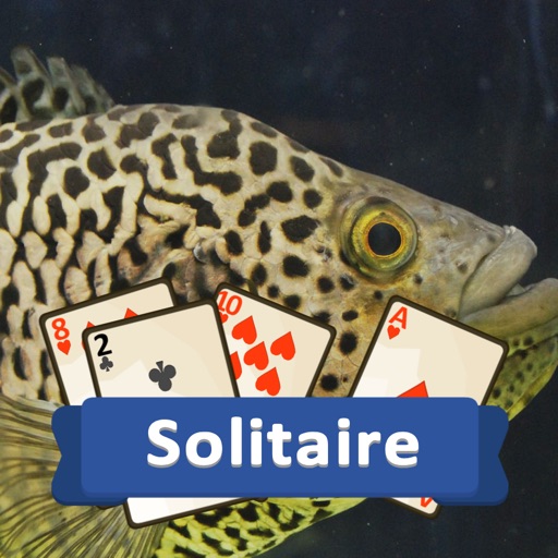 Solitaire Marine Life
