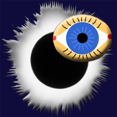 Activities of Solar Eclipse Totality Observer