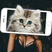 Animal Face Scanner Simulator app funktioniert nicht? Probleme und Störung