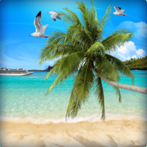 Beautiful Palm Tree Wallpapers (HD) - Backgrounds icon