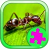 Toddler Games And Jigsaw Puzzle Ants Version