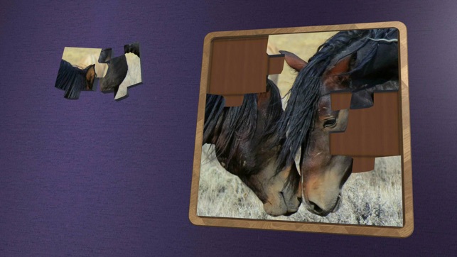 Super Jigsaws Horses