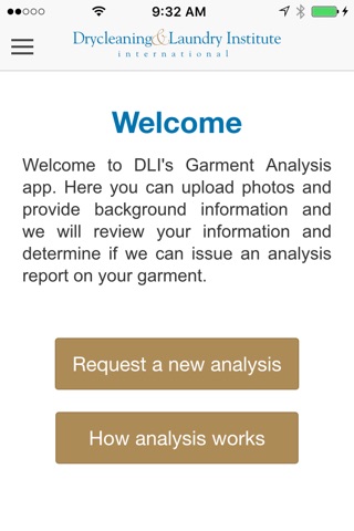 DLI Analysis screenshot 4