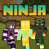 Ninja Skins - Best Skins for MCPC & PE Edition