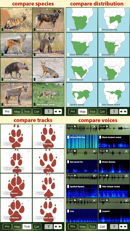 Mammal Guide of Southern Africa