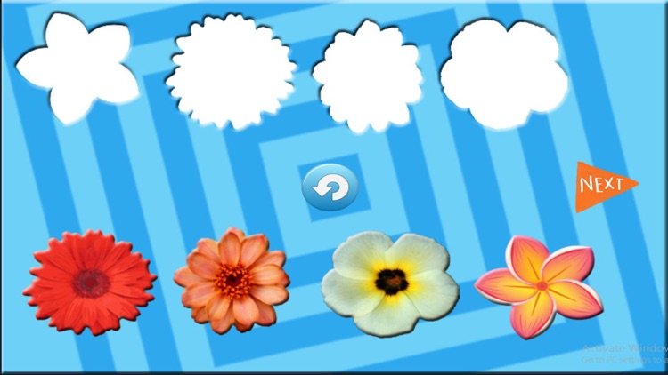 Fun Learning Flower Shapes Sorting game for kids