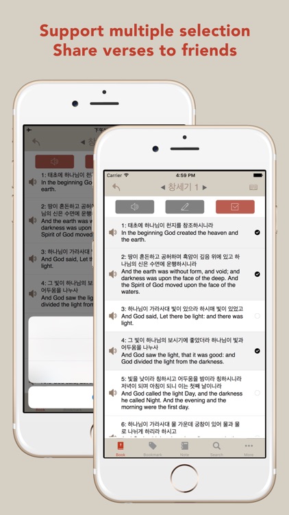Korean KJV English Bible