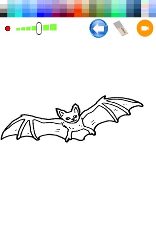 Bats Drawing Game screenshot 2