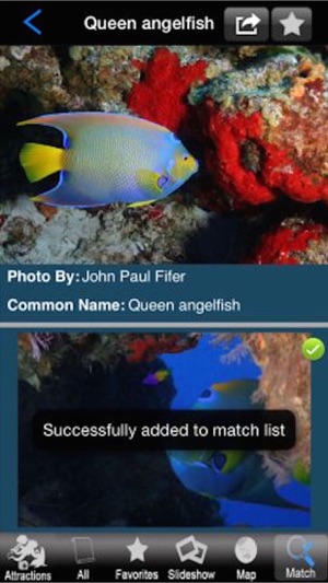 Caribbean Reef(圖2)-速報App