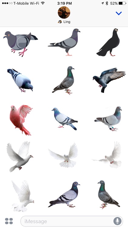 Trash Birds - Funny Realistic Pigeons screenshot-3