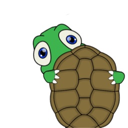 Turtle Shell