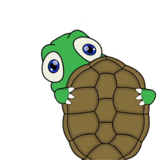 Turtle Shell