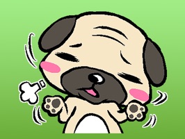 Shi The Cute Pug Sticker