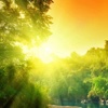 Shining Sun Wallpapers HD- Quotes and Art Pictures