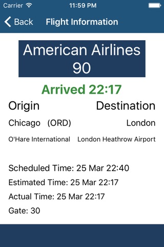 JFK Airport Flight Information screenshot 2