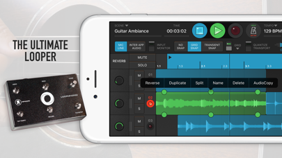 Looperverse – Multitrack Loop Recorder Screenshot 1