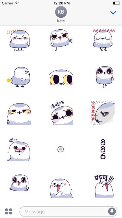 Animated White Owl Stickers For iMessage