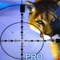 Animal Tiger Pro: You Are The Top Hunter