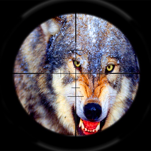 Wolf Hunting Winter Season Challenge SHooting Pro Icon