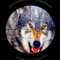 Wolf Hunting Winter Season Challenge SHooting Pro