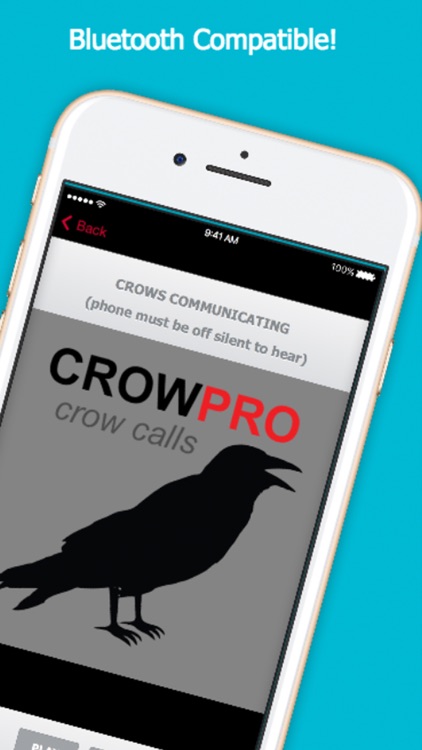 Crow Calls for Hunting