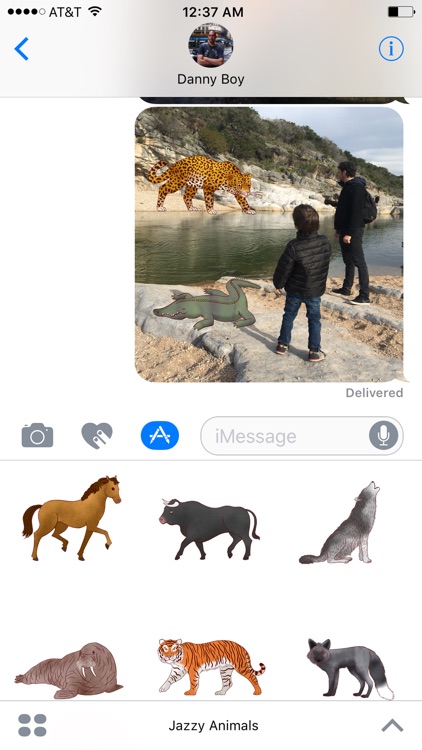 Jazzy World Animals - Wildlife Zoo Stickers