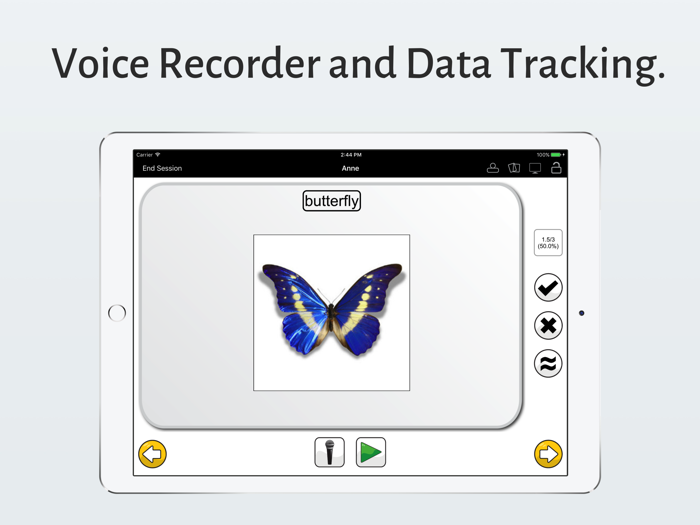 Speech Cards Professional