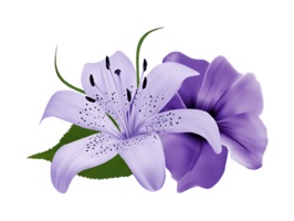 Flowers Pack HD Stickers for iMessage is a great collection with amazing stickers specially created for iMessage