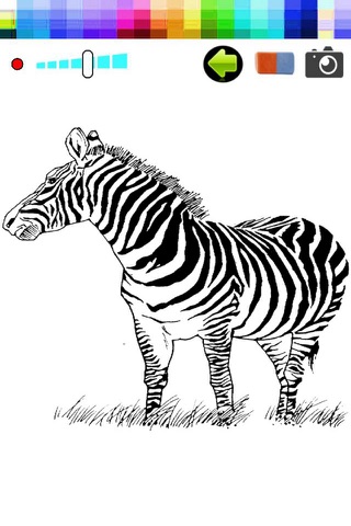 Mania Zebra Colorings Game For Kids screenshot 2