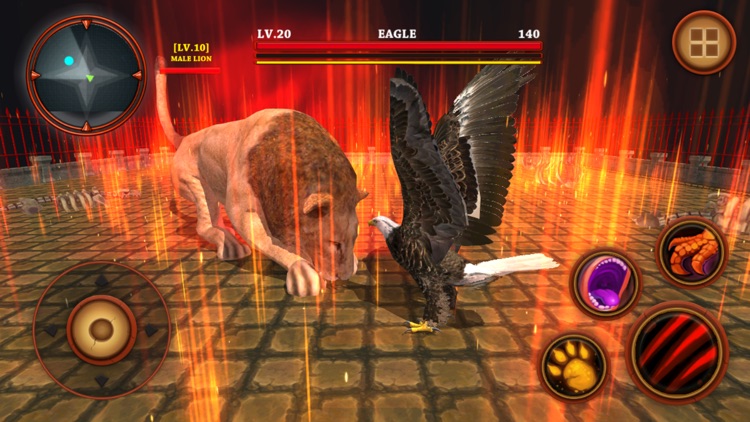 Wild Eagle Survival Simulator - Animals Fighting screenshot-4