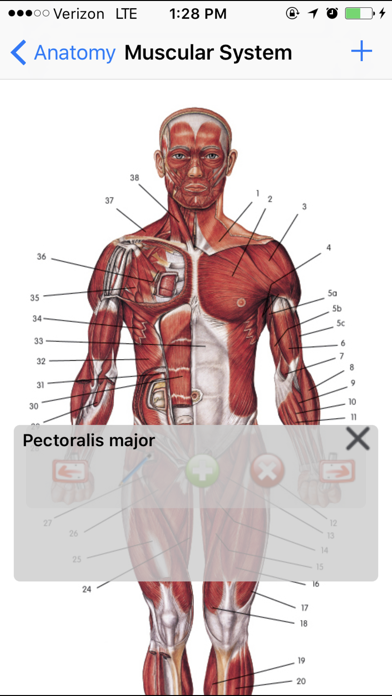 Anatomy Liteのおすすめ画像3