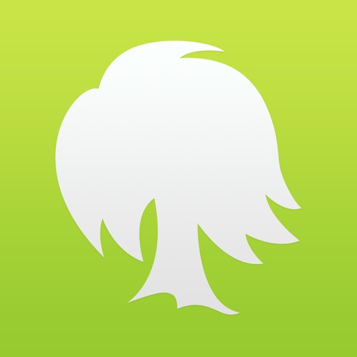 Willow - A Place for Conversation