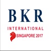 BKR Int Asia Pacific / EMEA Regional Meeting
