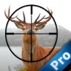 A Deer Hunter Fast Pro - In the Woods