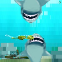 Pixel Addition Save Tangles the Turtle from the s