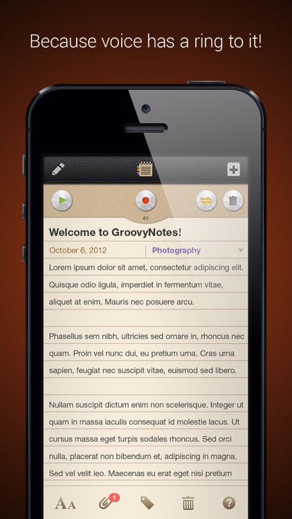 Groovy Notes for iPhone - Text & Voice Notes