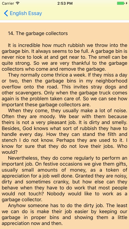 English Essay screenshot-3