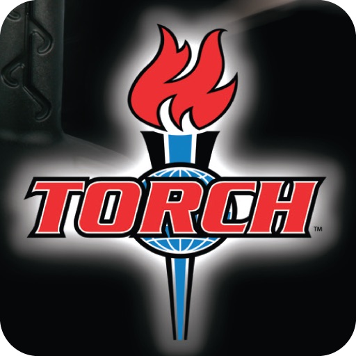 T.O.R.C.H. Lite - Gold Medalist Herb Perez's 96 Tae Kwon Do Classes Preview icon