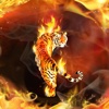 Fire Flame Wallpapers