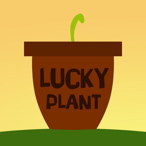 Переведи plant. Lucky Plant перевод. Lucky Plant. Lucky Plant футболка. Lucky-PC.