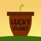 Plant it, love it and believe in it, hopefully it will bring you the best of luck