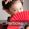 Master Japanese Particles for iPad