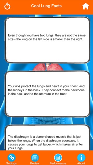 Human Body Parts : Lungs Quiz(圖5)-速報App