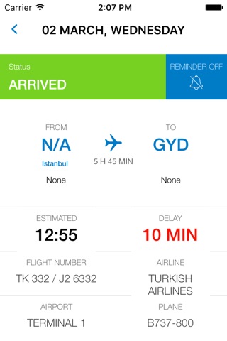 Baku Airport screenshot 3