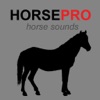 Icon Horse Sounds & Equine Sounds